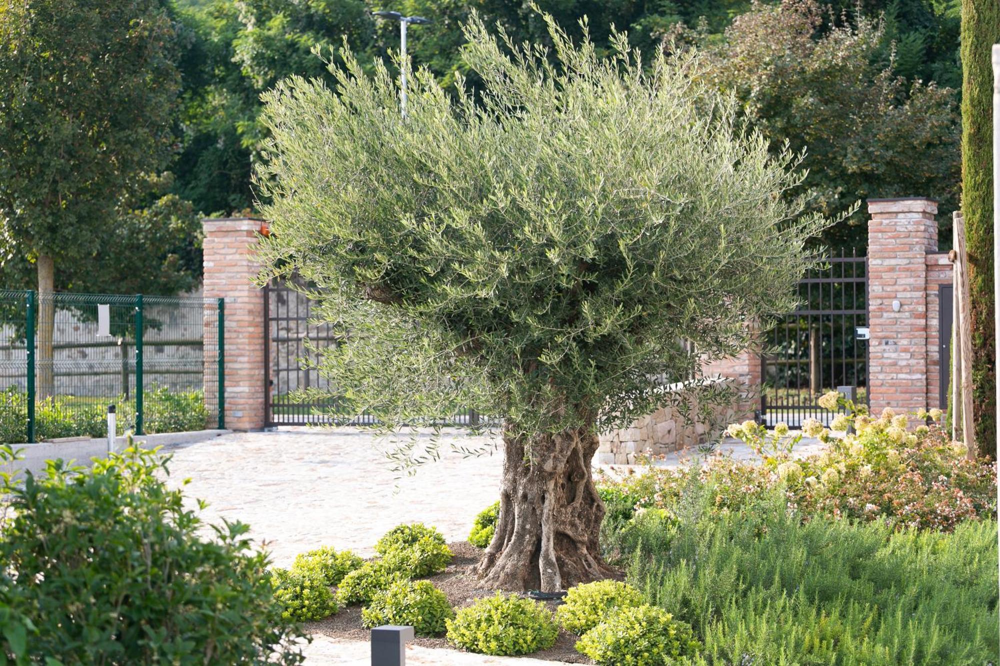 Casa Massaro Todeschini Apart otel Abano Terme Dış mekan fotoğraf